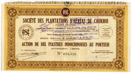 Société Des PLANTATIONS D'HÉVÉAS De CAUKHOI - Agriculture