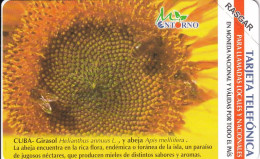 UR-031 TARJETA DE CUBA URMET DE UN GIRASOL Y ABEJA $5  (BEE-FLOWER) NUEVA-MINT - Cuba