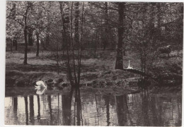 Bonheiden - Kasteel Zellaar - Gemeenschapsretraites - Bonheiden