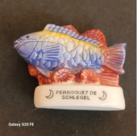 Fèves   *** Animaux  ** Poissons  ** Perroquet De Schlegel - Dieren