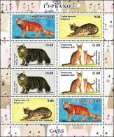 Tajikistan 2024 . Cats. Sheetlet Of 8 - Tajikistan