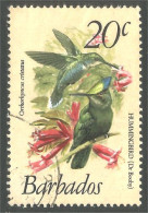 176 Barbados Hummingbirds Colibris Oiseau Mouche (BBA-156) - Kolibries