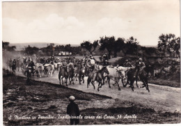 San Martino In Pensilis - Campobasso - Tradizionale Corsa Dei Carri  30 Aprile - Formato Grande Non Viaggiata – FE170 - Campobasso