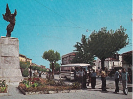 San Martino In Pensilis - Campobasso - Piazza Della Vittoria - Formato Grande Non Viaggiata – FE170 - Campobasso