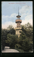 AK Bad Oldesloe, Aussichtsturm Im Kurpark  - Bad Oldesloe