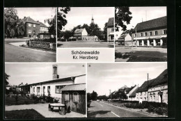 AK Schönewalde /Kr. Herzberg, Kinderkrippe Pitti, Ernst-Thälmann-Strasse, Einkaufszentrum  - Schönewalde