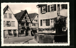 AK Marbach Am Neckar, Brunnen Vor Schillers Geburtshaus  - Marbach