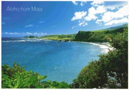 73983910 Maui_Hawaii_USA Hamoa Beach - Autres & Non Classés