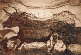 24  MONTIGNAC SUR VEZERE LES GROTTES DE LASCAUX - Montignac-sur-Vézère