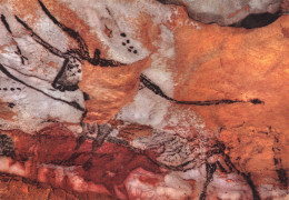 24  MONTIGNAC SUR VEZERE LES GROTTES DE LASCAUX - Montignac-sur-Vézère