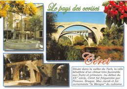 66-CERET-N°3853-A/0095 - Ceret