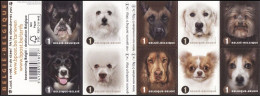 2014 B145/C145**(4383/92) - Faces De Chiens / Hondenkoppen / Hundegesichter / Dog Faces - 1997-… Validité Permanente [B]