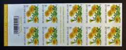 2008 B91/C91**(3785) - Tagètes Patula / Kleine Afrikaantje / Ringelblumen Patula / Marigolds Patula - Carnet / Boekje - - 1997-… Validité Permanente [B]