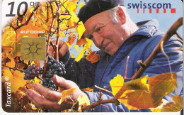 Switzerland: 1999 Vom Weinstock Ins Weinglas, Wümmet - Levensmiddelen