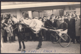 VIEILLE PHOTO PRIX DES SOCIETES HIPPIQUES A STERREBEEK EN 1960- Cheval KYAC - Format CPA - Paardensport