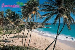 Antilles - Barbades - Barbados - Bottom Bay - CPM - Voir Scans Recto-Verso - Barbades