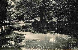 49 - Le Louroux Beconnais - Le Château Du Chillon - Maison De Convalescence - La Pièce D'eau - CPM - Voir Scans Recto-Ve - Le Louroux Beconnais