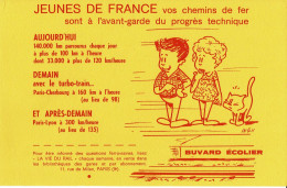 Buvard La Vie Du Rail - Jeunes De France - Couple Et Chat - Transport