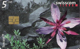 Switzerland: 2002 Auenblume - Fleurs