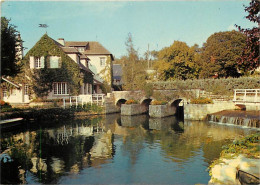 45 - Chatillon-Coligny - Le Moulin De La Fosse - CPM - Voir Scans Recto-Verso - Chatillon Coligny