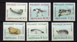 Groenland (1991) - Faune Marine. Phoques -  Neufs** - MNH - Ongebruikt