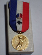 Médaille / Décoration / Insigne - LE SOUVENIR FRANCAIS - Or - Drago-Paris Avec Sa Boite D'origine. - France