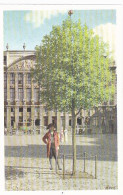 CPA TRADE CARDS, ARTIS HISTORIA, OUR GLORIES- BELGIUM STATE, ALBUM IV, SERIES 69, NR 342, LIBERTY TREE - Artis Historia