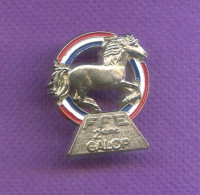 Rare Pins Ffe Federation Francaise Equitation 2 éme Galop T175 - Andere & Zonder Classificatie