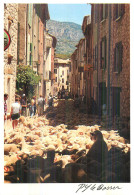 BUIS LES BARONNIES . La Transhumance Dans La Grande Rue - Buis-les-Baronnies