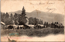 (19/06/24) SUISSE-CPA SAINTE CROIX - CHALET DU MONT DE BAULMES - Sainte-Croix 