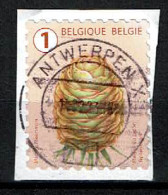 België / Belgique / Belgium / Belgien Japanse Lork 2021 (OBP 5021 ) - Gebraucht