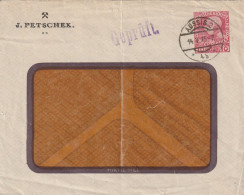 Autriche Entier Postal Privé Aussig 1915 - Covers