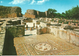 24277 - Portugal - Condeixa - Conimbriga - Ruinas Romanas - Ruines Romaines - Coimbra