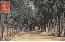 CHATEAU GONTIER - Entrée Des Promenades - Très Bon état - Chateau Gontier