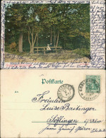 Ansichtskarte Göppingen Im Oberholz 1904 - Goeppingen