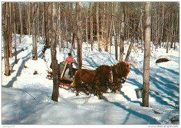 CPSM Maple Sugaring In Vermont  L1493 - Autres & Non Classés