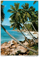 CPSM Seychelles-Cap Barbie-La Digue   L1493 - Seychelles