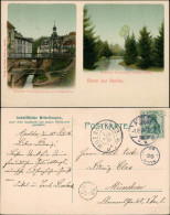 Ansichtskarte Apolda 2 Bild: Promenade Schötner Grund 1906 - Apolda