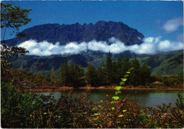 CPM AK Salazie La Mare REUNION (1408284) - Réunion