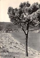 83-LE LAVANDOU-N°T248-A/0223 - Le Lavandou