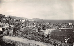 83-LE LAVANDOU-N°T249-B/0053 - Le Lavandou