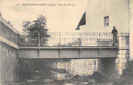 45-CHATILLON SUR LOIRE-N°T252-B/0317 - Chatillon Sur Loire