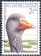 198 Belgium Oie Goose Anse (BEL-459) - Ganzen