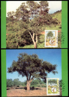 BOPHUTHATSWANA(1985) Tree Conservation. Set Of 4 Maximum Cards With Thematic Cancels. Scott Nos 169-72. - Bophuthatswana