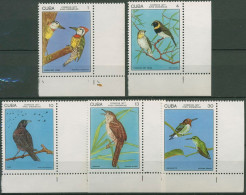 Kuba 1977 Naturschutz: Seltene Vögel 2197/2201 Ecke Postfrisch - Nuovi