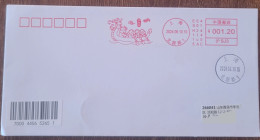China Cover The First Day Of Loong Boat Festival (Longyuan Road, Shanghai) Stamped With Postage Machine - Enveloppes