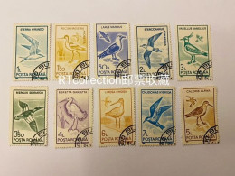 Romania 1991 - One Set Of 10 Birds Bird Animals Animal Seagulls Seagull Fauna Stamps USED - Mouettes