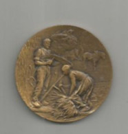 MEDAILLE DU COMICE AGRICOLE DE LA REOLE - Professionnels / De Société