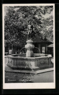 AK Pirmasens, Blick Auf Den Schusterbrunnen - Pirmasens