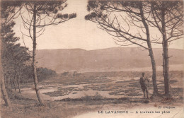 83-LE LAVANDOU-N°T2897-F/0317 - Le Lavandou
